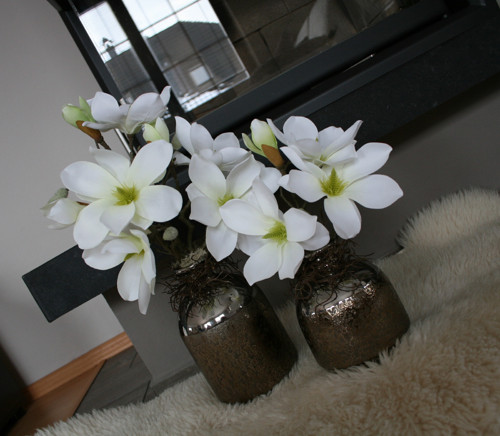Sada váz s magnoliemi — foto 2