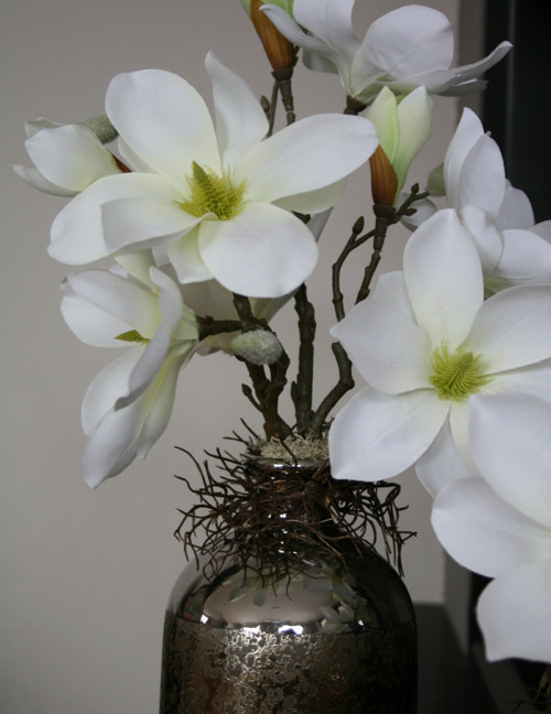 Sada váz s magnoliemi — foto 4