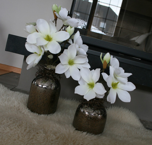 Sada váz s magnoliemi — foto 5