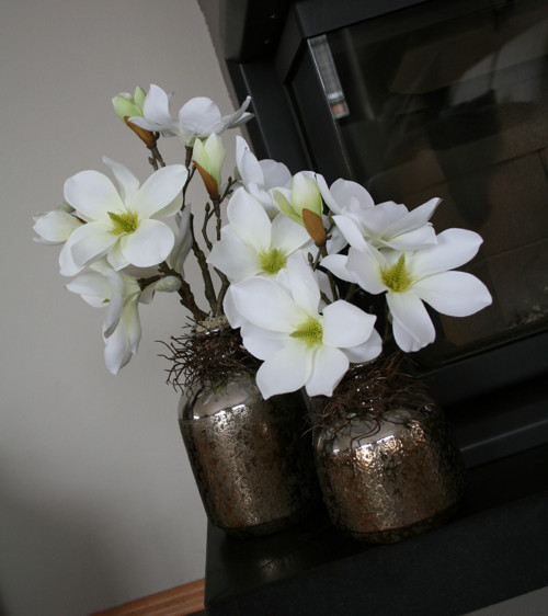 Sada váz s magnoliemi — foto 6
