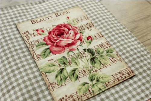 Obal na knihu Rose I. — foto 3