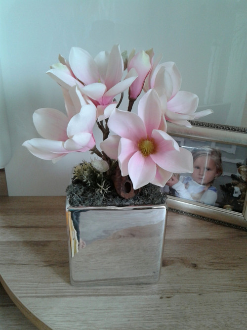 Magnolie ... — foto 3