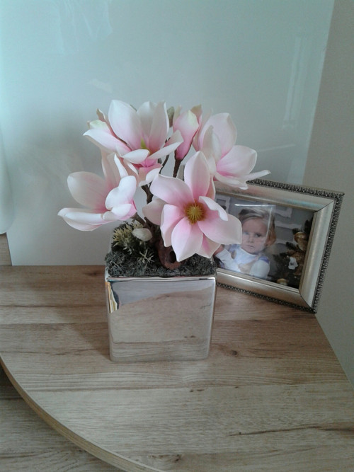 Magnolie ... — foto 4