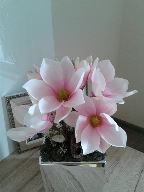 Magnolie ... — foto 5