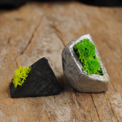 Miniatúrna RAKU záhrada — foto 2