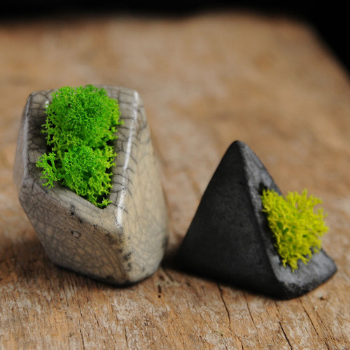 Miniatúrna RAKU záhrada — foto 4