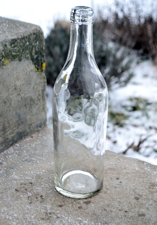 Čirá sirupovka 6 — foto 2