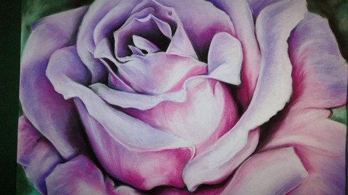 Detail růže I. — foto 6