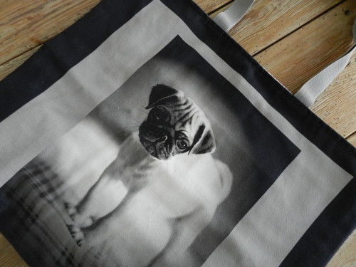 Dog Big Bag No.2 — foto 4