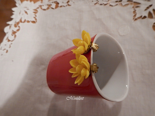 Žluťásky — foto 2