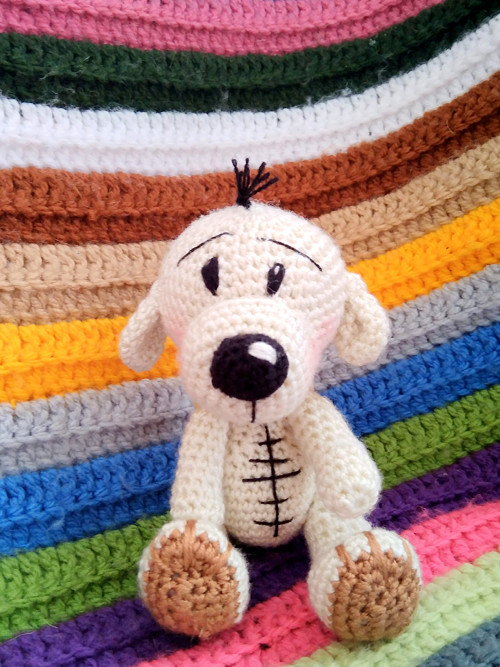 Medvídek pidík — foto 5