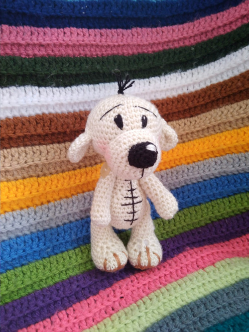 Medvídek pidík — foto 6