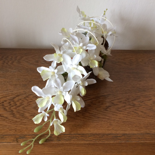 Bílé orchideje — foto 4