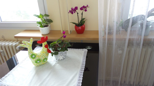 Slepička velikonoční — foto 2