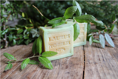 Laurus Nobilis 40% — foto 6