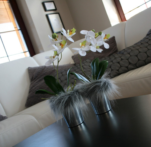 Miniorchidej v kožíšku — foto 5