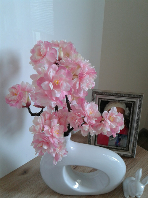 Sakura ... — foto 3