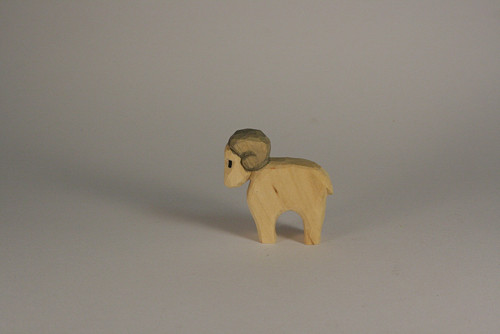 Beránek — foto 5