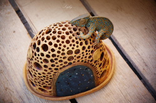 Chameleon na kopci... — foto 2