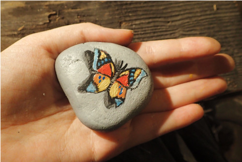 Motýl na kameni — foto 4