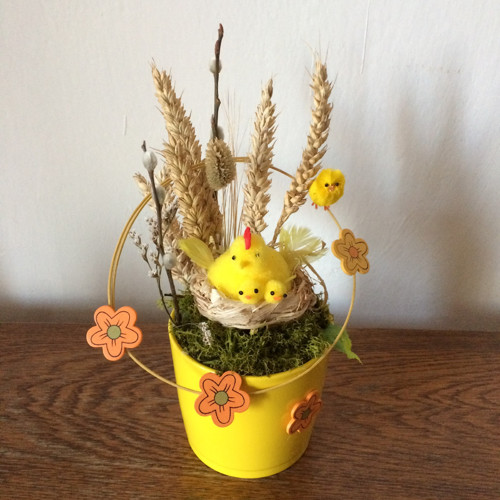 Jarní hnízdění — foto 3