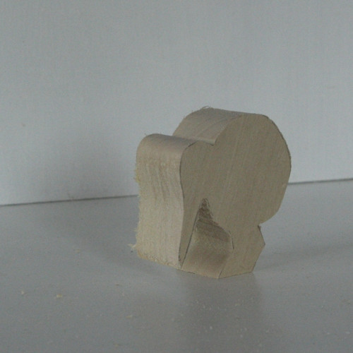 Kiwi - polotovar — foto 2