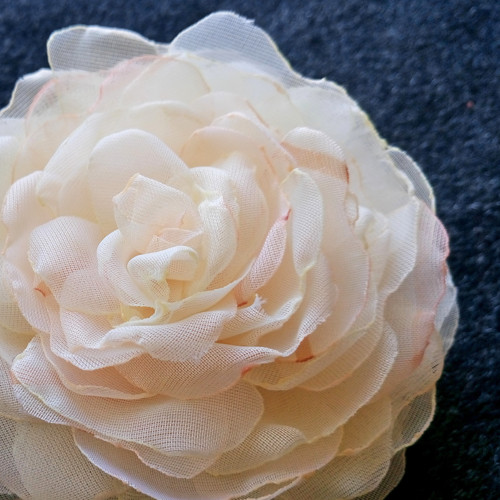 Cream — foto 2