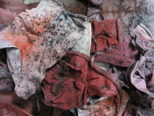 Materiál - rezervace — foto 6