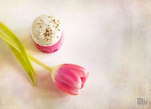 Sweet spring - rezervace pro Marannka — foto 3