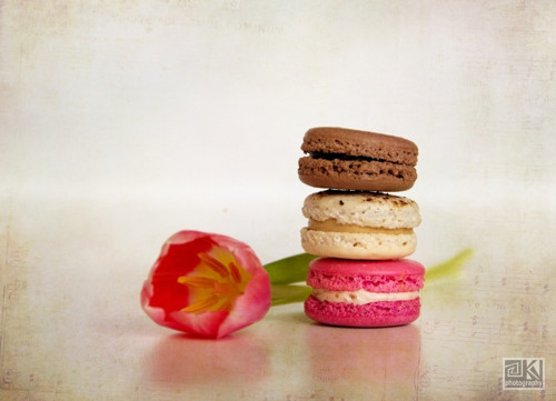 Sweet spring - rezervace pro Marannka — foto 4