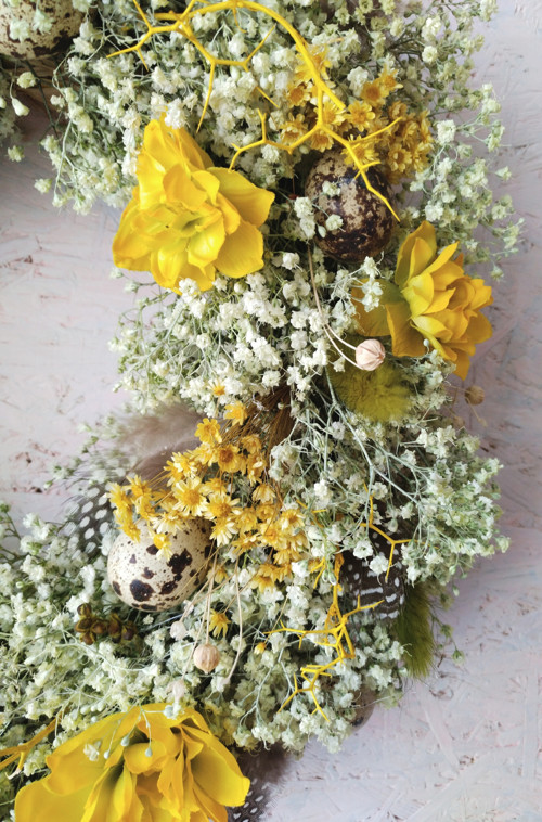 Narcismania — foto 4
