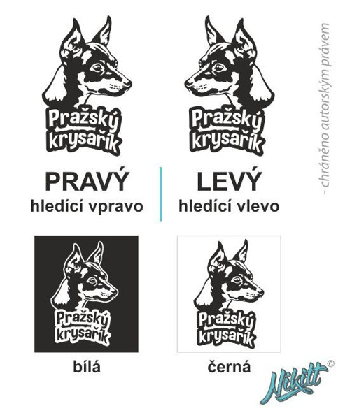 Krysařík s nápisem - samolepka — foto 2