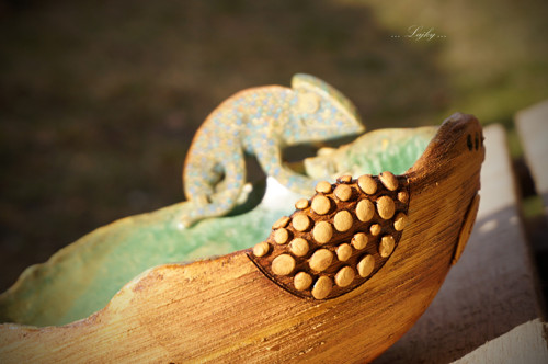 Chameleon na procházce — foto 2
