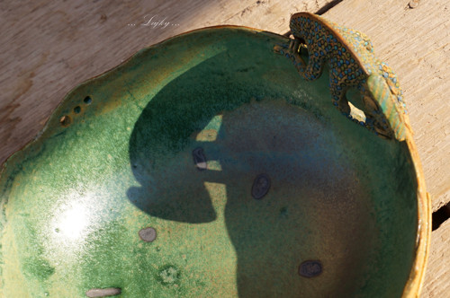 Chameleon na procházce — foto 3