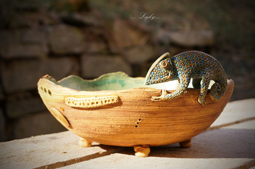 Chameleon na procházce — foto 4