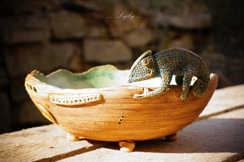 Chameleon na procházce — foto 5