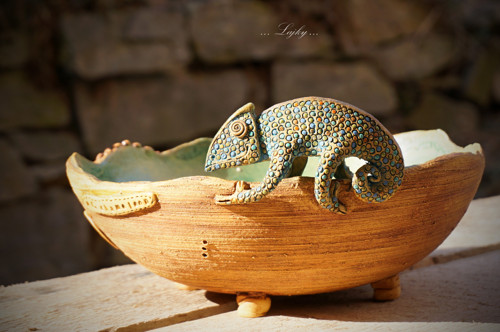Chameleon na procházce — foto 6