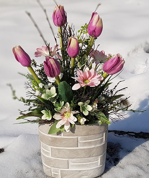 Jarní tulipánová.. — foto 2