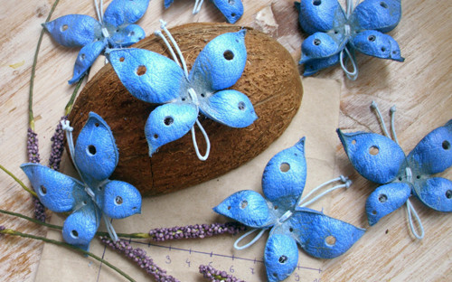 Kožený motýl — foto 2