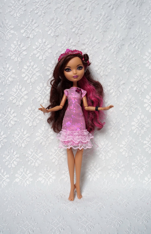 Šaty pro MH / Ever After High — foto 2
