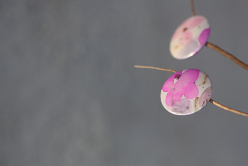 Sakura. — foto 3