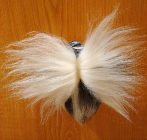 Víla Jin Jang — foto 4