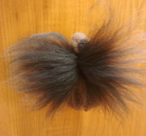 Elfinka Zeměnka — foto 2