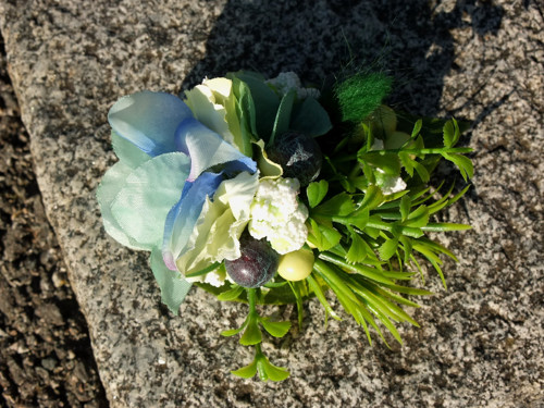 Jarní louky, jarní nebe — foto 2
