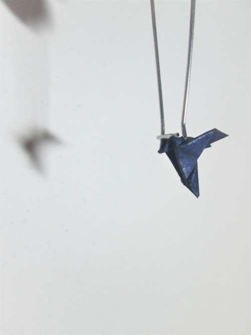 Modřinky — foto 3