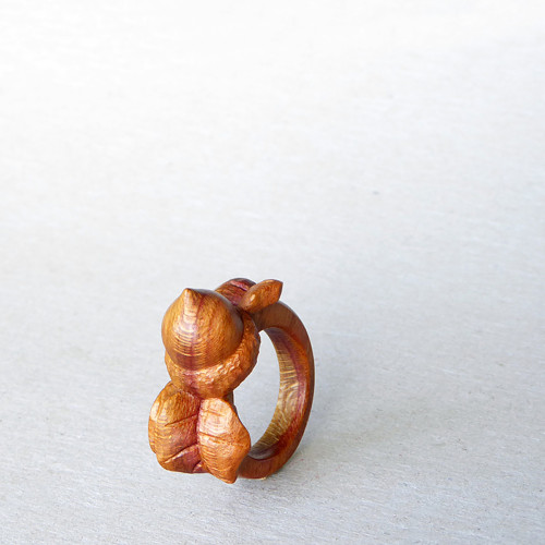 Prstýnek pro veverku — foto 2