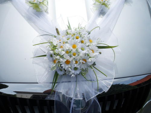 Šerpa na auto nevěsty — foto 4