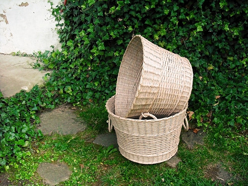 Velké přírodní koše — foto 2
