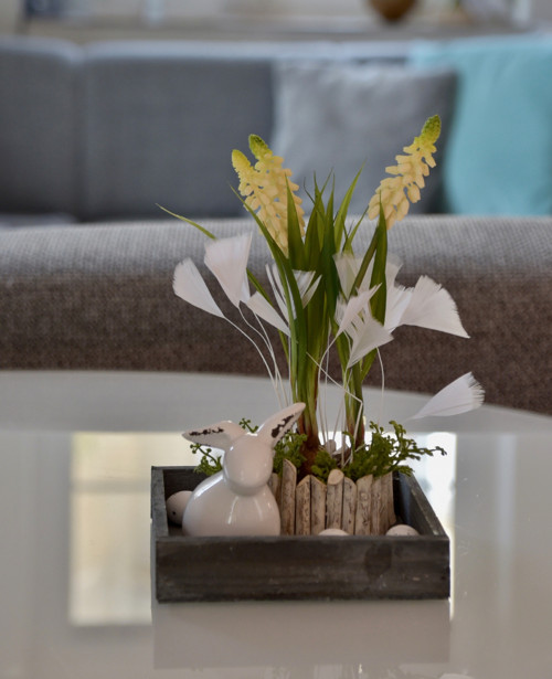 Dekorace Muscari — foto 3