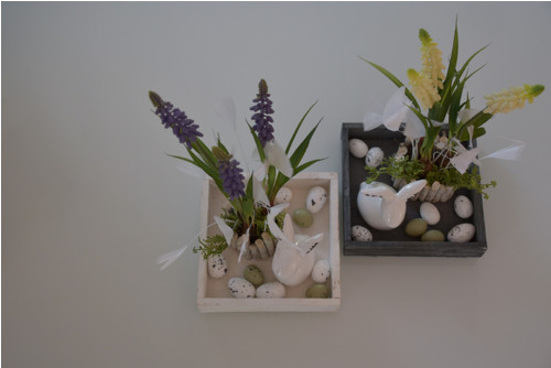 Dekorace Muscari — foto 5